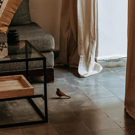 Riad Villa Wenge & Spa-2