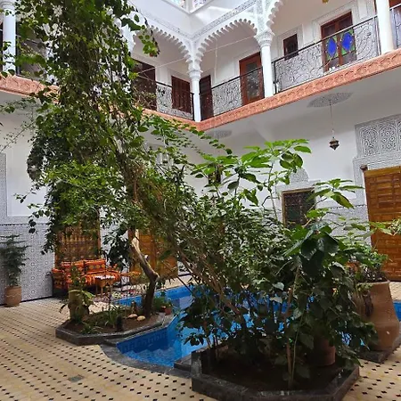 Riad Raffaa-3