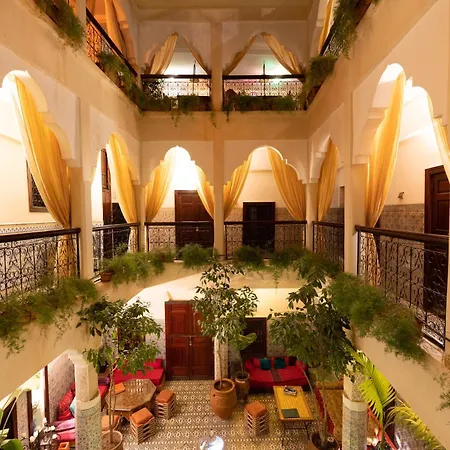 Abelia Riad - 2025 Guest Choice Award-3