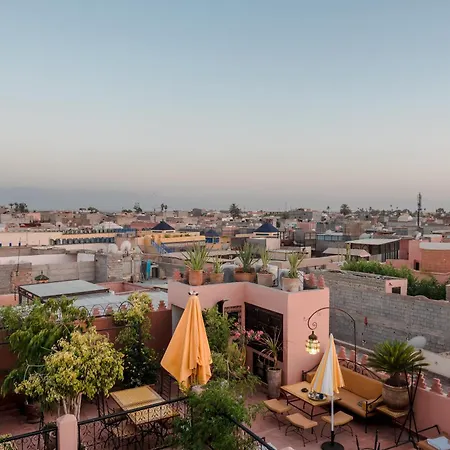 Abelia Riad - 2025 Guest Choice Award-2