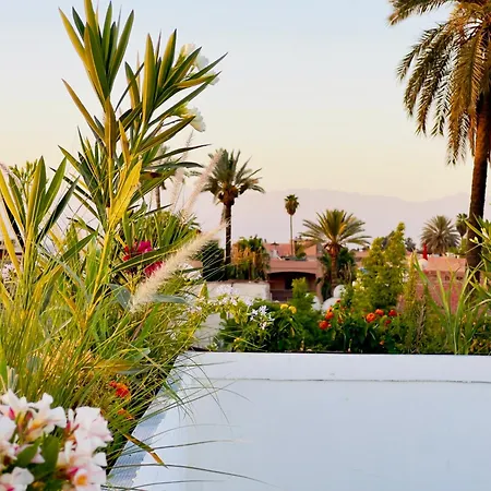 Riad Kaya-2