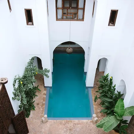 Riyad El Cadi-3