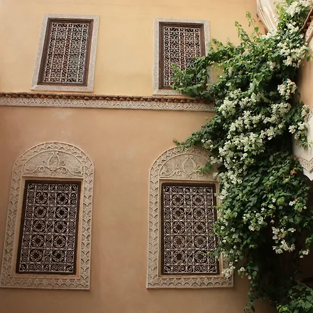 Riad Lorsya-3