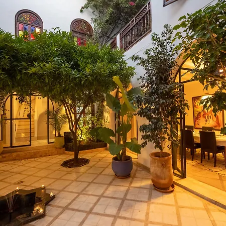 Riad Alma-3