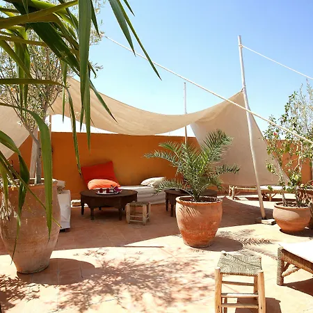 Riad O2-3