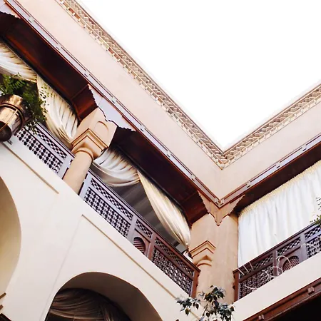 Riad Wow-2
