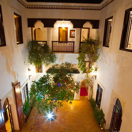 Riad Chergui-3