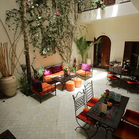Riad White Flowers-3