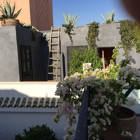 Riad Safa-3