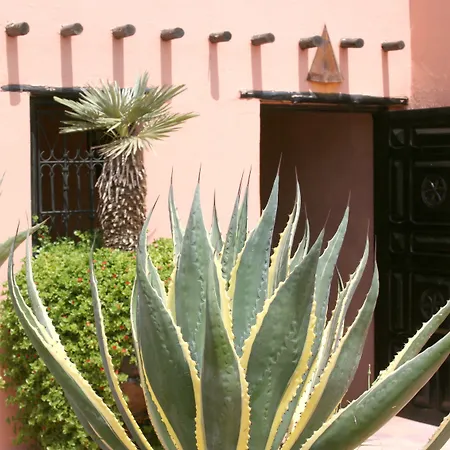 Riad Christina-2