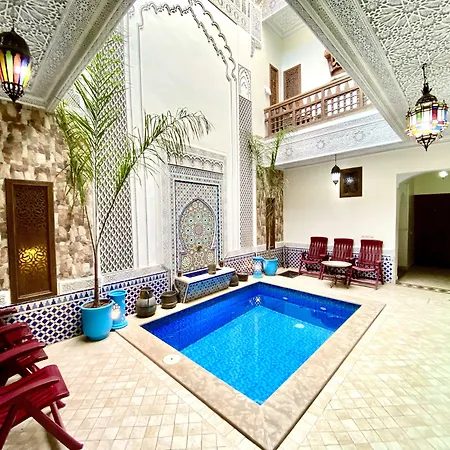 Riad Nouhal-2