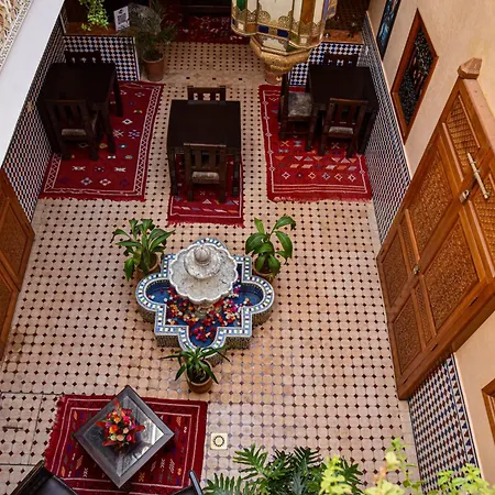 Riad Zanouba-2