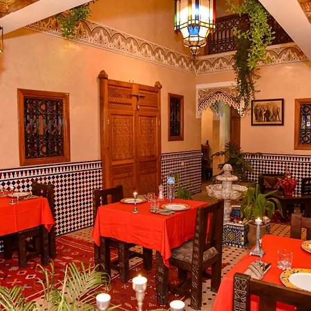 Riad Zanouba-3
