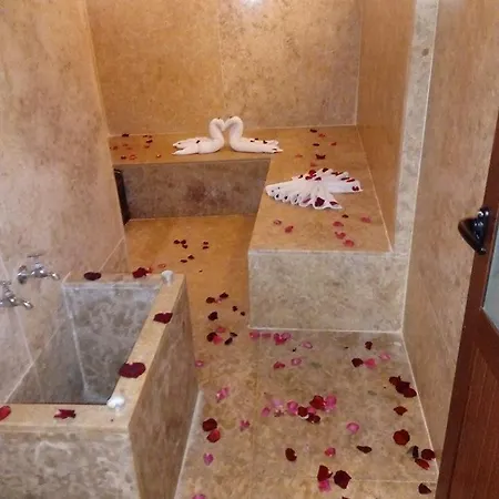 Riad Passali-2