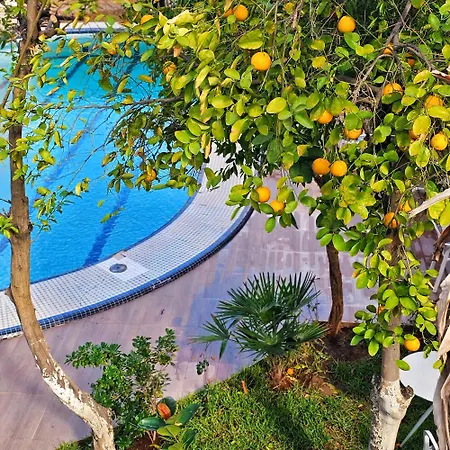 Hotel Ezzahia By Hms-3
