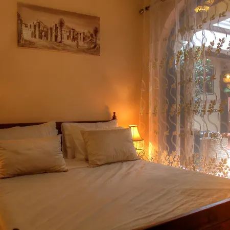 Riad ELIZZI-2