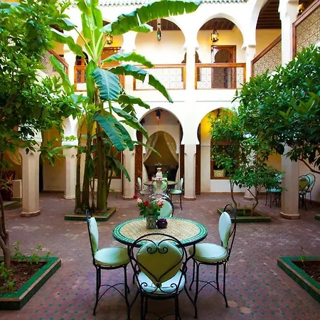 Riad Massaoud-2