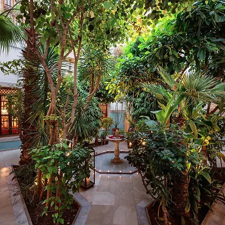 Riad Siwan-3
