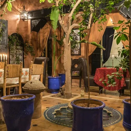 Riad Sidi Omar-3