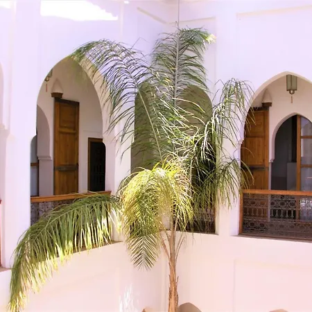 Riad Miski-3