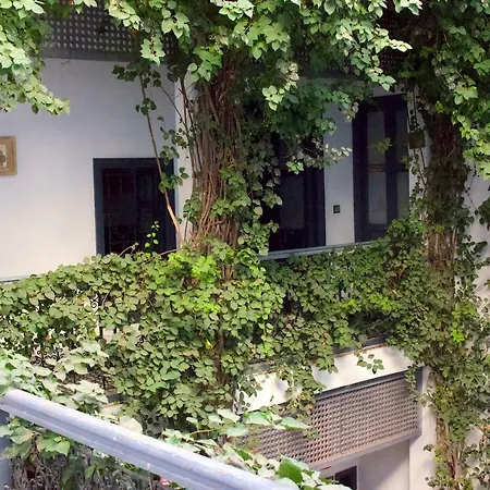Bougainvillea Riad-3