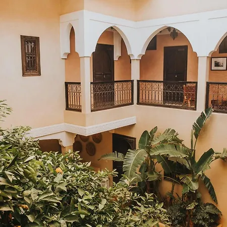 Riad L'Oiseau Du Paradis-2