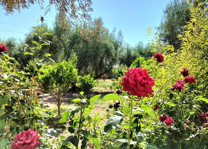 Villa Nathalie Marrakech Marraquexe