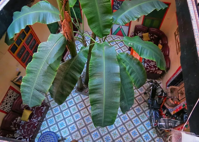 Riad Espagne Marrakesh